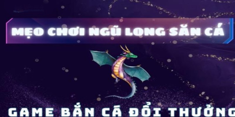 Khám Phá Ngũ Long Bắn Cá: Những Bí Quyết Để Kiếm Điểm Cao 4 Mẹo chơi bắn cá ngũ long