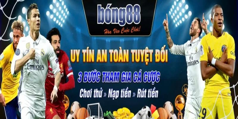 Tác Giả Bong88 - Hành Trình Đằng Sau Thành Công Của Nhà Cái Uy Tín 2 Đóng góp uy tín của tác giả