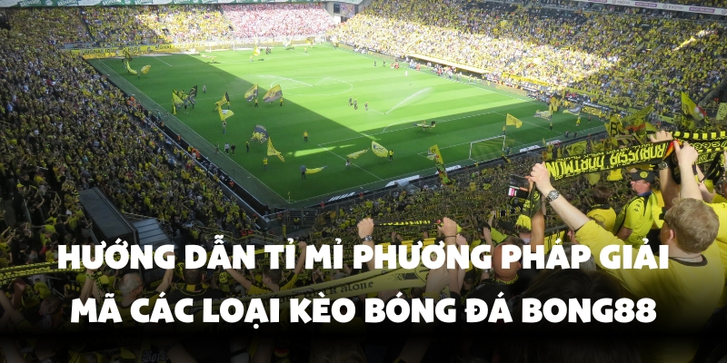 Cách Đọc Kèo Bóng Đá Bong88 - Từ Cơ Bản Đến Nâng Cao 3 Thế giới cược bóng đá đa dạng